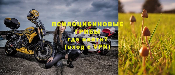 эйфоретик Богородицк