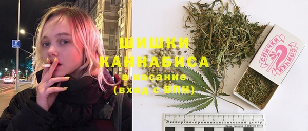сатива Богданович