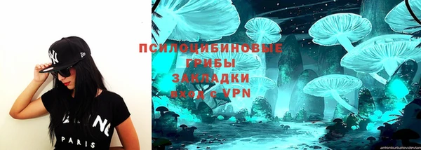 сатива Богданович