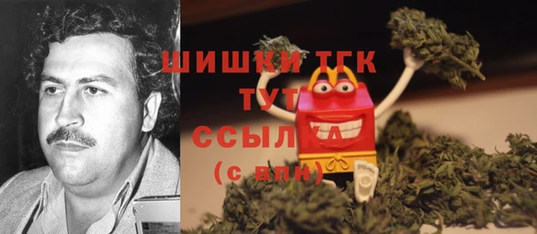 сатива Богданович