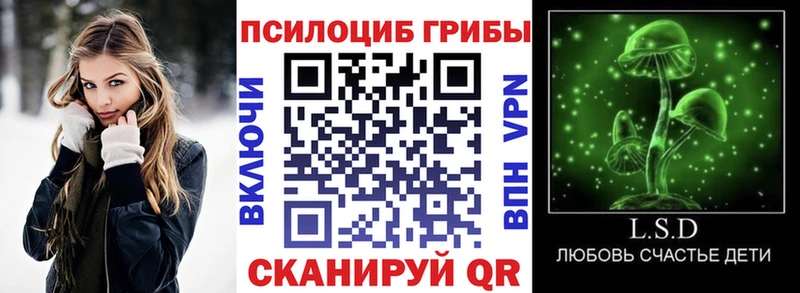 блэк спрут как войти Волгореченск Псилоцибиновые грибы мухоморы где продают