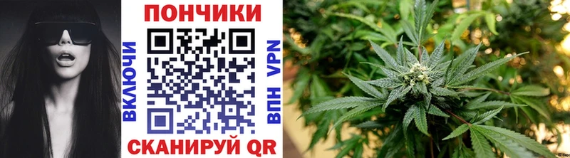 Бошки марихуана сатива Волгореченск