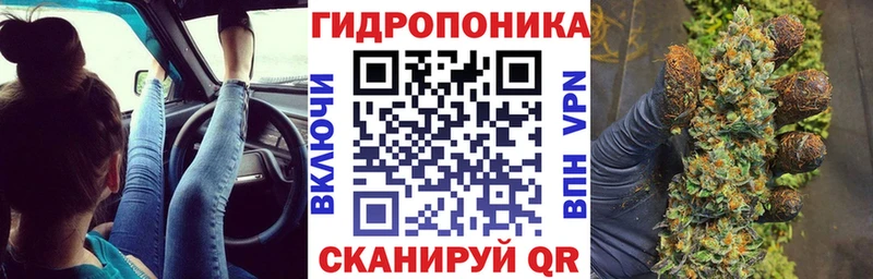 Конопля AK-47  где продают наркотики  Волгореченск 